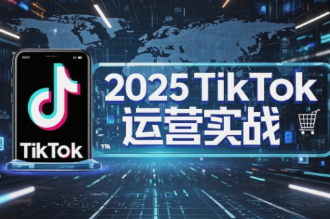 阿涛·2025TikTok电商运营网赚项目-副业赚钱-互联网创业-资源整合猫猫网创库