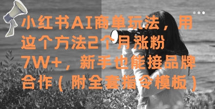 小红书AI商单玩法，用这个方法2个月涨粉7W+，新手也能接品牌合作(附全套指令模板)网赚项目-副业赚钱-互联网创业-资源整合猫猫网创库
