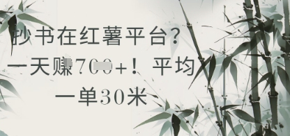 抄书在小红薯平台？平均一单30米，一天收益几张！网赚项目-副业赚钱-互联网创业-资源整合猫猫网创库
