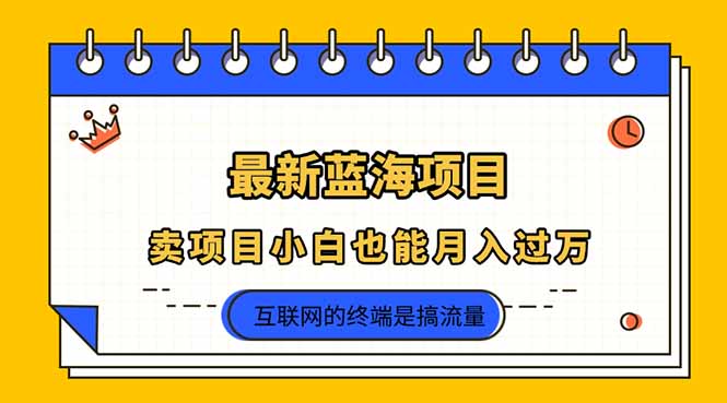 2025年最新蓝海项目，卖项目小白也能月入过万网赚项目-副业赚钱-互联网创业-资源整合猫猫网创库