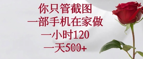 你只管截图，一部手机在家做，苹果安卓都可以，一小时120，一天5张+【揭秘】网赚项目-副业赚钱-互联网创业-资源整合猫猫网创库