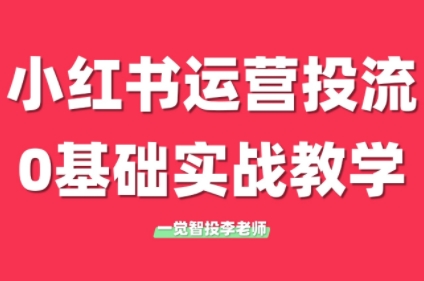 李老师·小红书运营投流，0基础实战教学(更新)网赚项目-副业赚钱-互联网创业-资源整合猫猫网创库