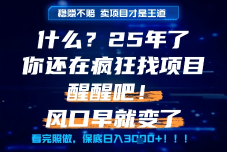 什么？25年你还在疯狂找项目做，醒醒吧，看完这些你全都懂了！【揭秘】网赚项目-副业赚钱-互联网创业-资源整合猫猫网创库