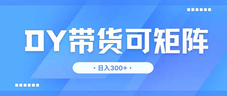 DY带货，日入300＋矩阵无上限网赚项目-副业赚钱-互联网创业-资源整合猫猫网创库