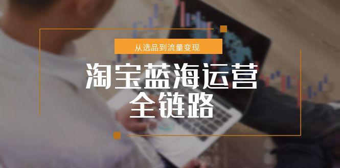 淘宝蓝海运营全链路，从选品到流量变现，小类目突围完整方案网赚项目-副业赚钱-互联网创业-资源整合猫猫网创库