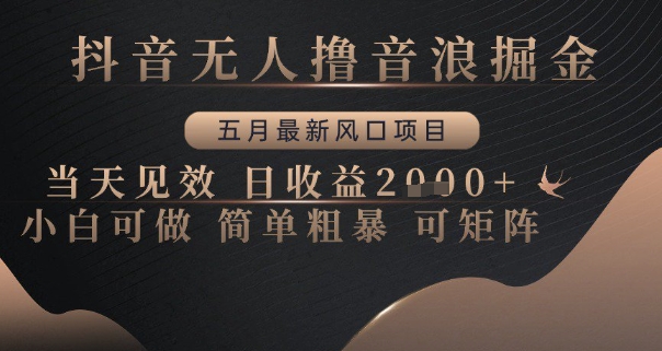 抖音无人撸音浪掘金，五月最新风口项目，当天见效，日收益多张，小白可做简单粗暴可矩阵【揭秘】网赚项目-副业赚钱-互联网创业-资源整合猫猫网创库