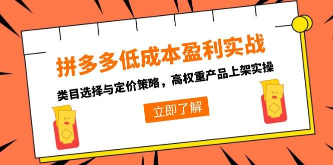 拼多多低成本盈利实战，类目选择与定价策略，高权重产品上架实操网赚项目-副业赚钱-互联网创业-资源整合猫猫网创库