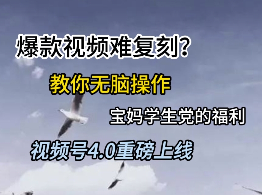 视频号4.0重磅上线，爆款视频难复刻？教你无脑操作宝妈学生党的福利【揭秘】网赚项目-副业赚钱-互联网创业-资源整合猫猫网创库