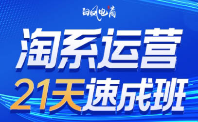 白凤电商·淘系运营21天速成班(更新6月)网赚项目-副业赚钱-互联网创业-资源整合猫猫网创库