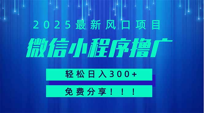 微信小程序撸广，最新风口项目，日入300+ 免费分享 可批量操作 小白可…网赚项目-副业赚钱-互联网创业-资源整合猫猫网创库