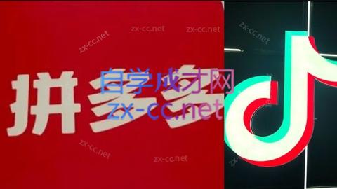 老陶电商·拼多多+抖音小店无货源开店网赚项目-副业赚钱-互联网创业-资源整合猫猫网创库