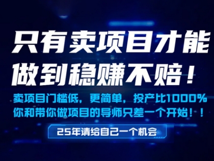 只有卖项目才能做到稳挣不赔，门槛低，更简单，你也可以年入百个W【揭秘】网赚项目-副业赚钱-互联网创业-资源整合猫猫网创库