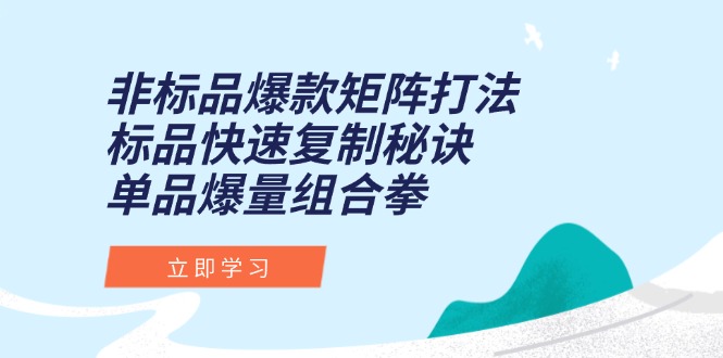 非标品爆款矩阵打法，标品快速复制秘诀，单品爆量组合拳网赚项目-副业赚钱-互联网创业-资源整合猫猫网创库