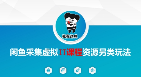闲鱼采集虚拟IT课程资源另类玩法，干货满满网赚项目-副业赚钱-互联网创业-资源整合猫猫网创库