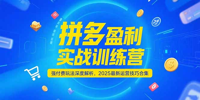 拼多多盈利实战训练营，强付费玩法深度解析，2025运营技巧合集-更新6月网赚项目-副业赚钱-互联网创业-资源整合猫猫网创库