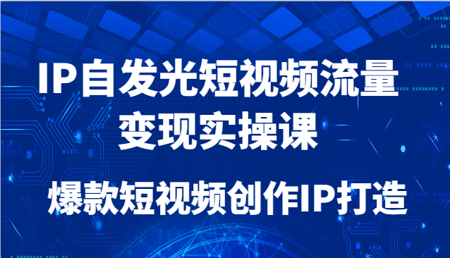IP自发光短视频流量变现实操课，爆款短视频创作IP打造网赚项目-副业赚钱-互联网创业-资源整合猫猫网创库