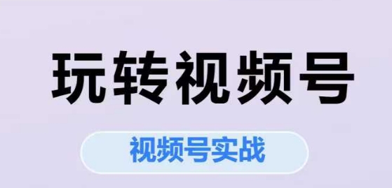 玩转视频号，视频号实战系列课网赚项目-副业赚钱-互联网创业-资源整合猫猫网创库