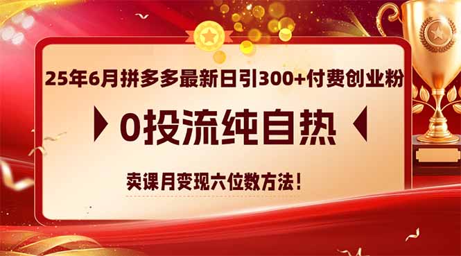 25年6月拼多多最新日引300+付费创业粉，0投流纯自热 卖课月变现六位数方法网赚项目-副业赚钱-互联网创业-资源整合猫猫网创库